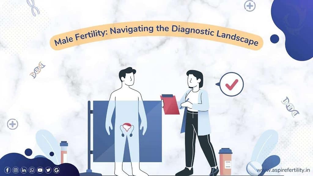 Male Fertility: Navigating the Diagnostic Landscape Male Fertility: Navigating the Diagnostic Landscape