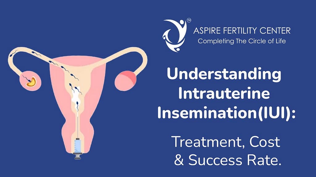 Understanding Intrauterine Insemination(IUI): Treatment, Cost & Success Rate IUI