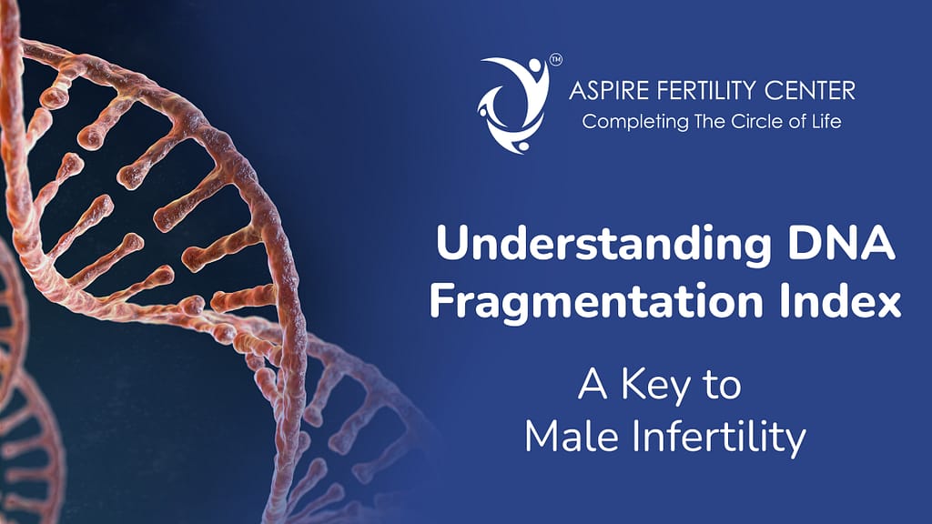 Understanding DNA Fragmentation Index Test - A Key to Male Infertility Understanding DNA Fragmentation Index Test