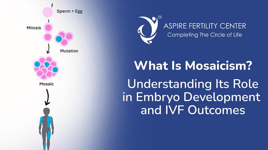 What Is Mosaicism? Understanding Its Role in Embryo Development and IVF Outcomes Best IVF Fertility hospital in Bangalore