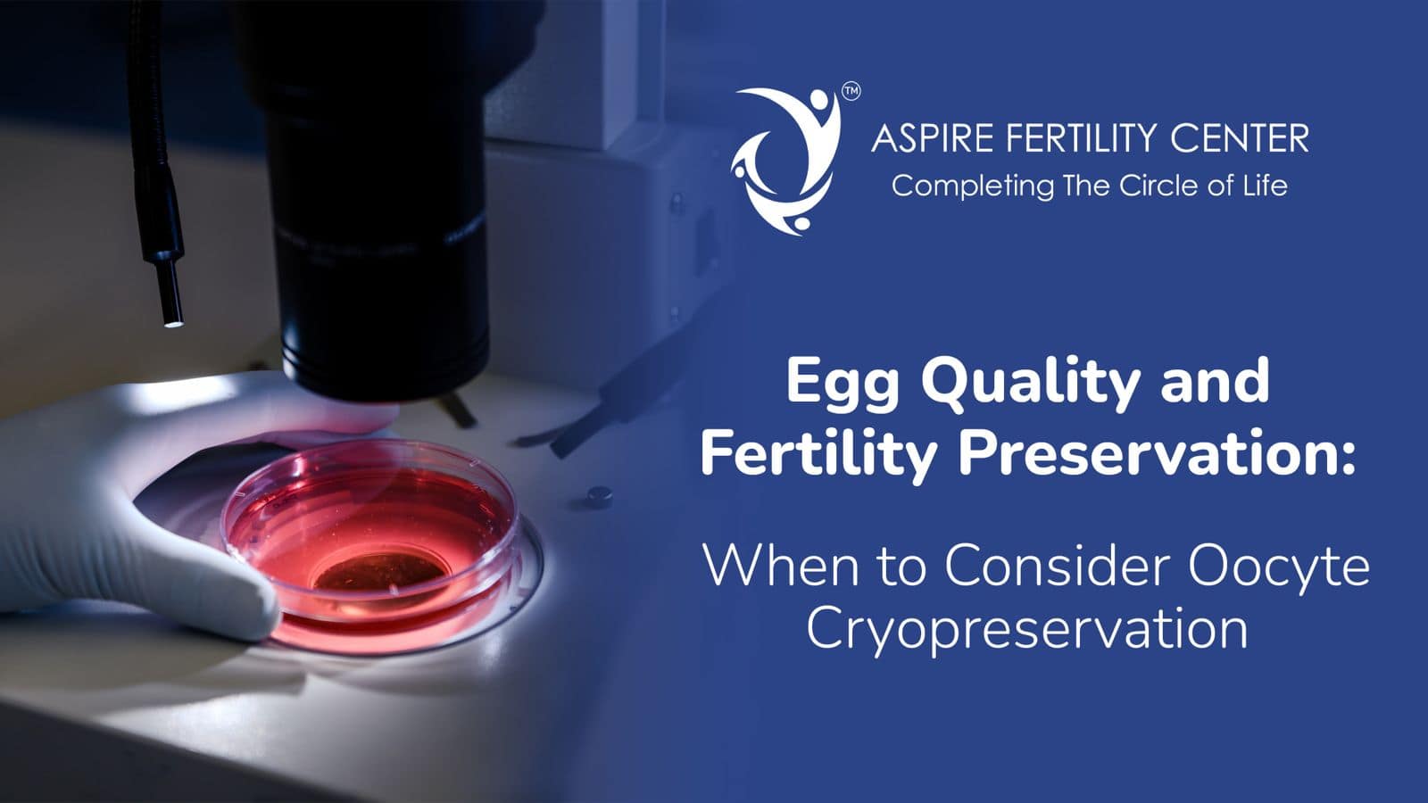 Egg Quality and Fertility Preservation When to Consider Oocyte Cryopreservation