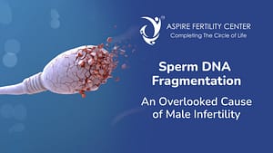 Fertility Articles 1 Sperm DNA fragmentation